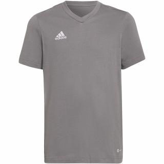 Koszulka dla dzieci adidas Entrada 22 Tee szara HC0444