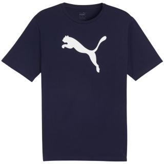 Koszulka męska Puma Team Rise Logo Jersey Cotton granatowa 658705 06