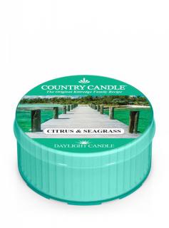 Country Candle - Citrus  Seagrass - Daylight (35g)