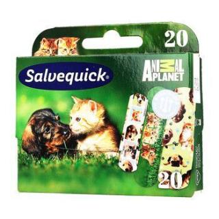 Salvequick plastry Animal Planet 20 sztuk