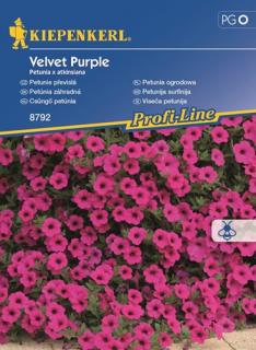Petunia ogrodowa zwisająca Velvet Purple F1 - nasiona