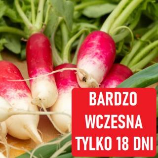 Rzodkiewka podłużna De Dix-Huit Jours 7,5 g