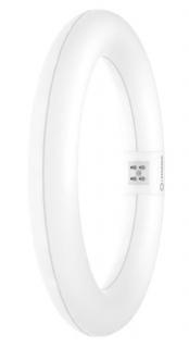 Świetlówka kołowa LED TUBE T9 EM 11W/4000K G10q 212mm LEDVANCE