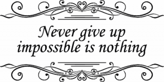 C0331 Never give up…