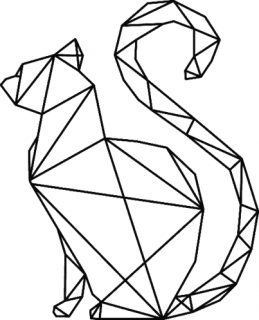 G019K Kot geometryczny