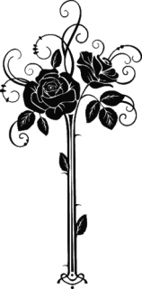 R018 Róże