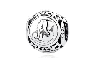 Rodowany srebrny charms do pandora znak zodiaku wodnik srebro 925