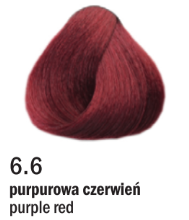 Allwaves Cream Color farba do włosów, koloryzacja trwała, 100 ml Kolor: 6.6 purpurowy ciemny blond