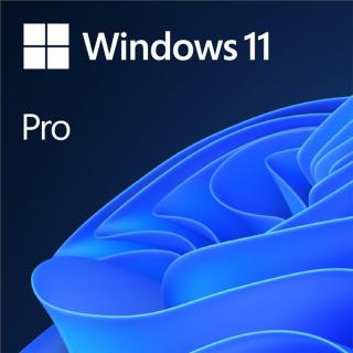 Microsoft Windows 11 Pro PL OEM x64 DVD FQC-10544