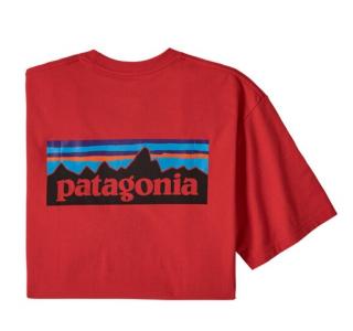 Koszulka Patagonia P-6 Logo Responsibili-Tee '20