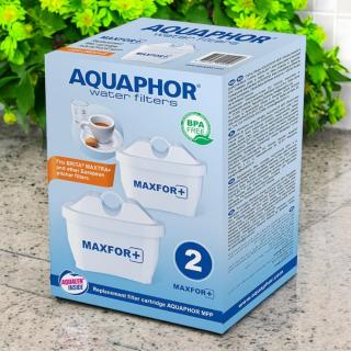 Filtr Maxfor B100-25 Aquaphor 2 szt.