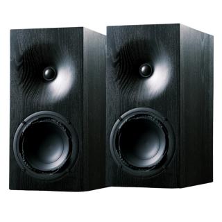 Buchardt Audio E50 (Stained Black) - PRE-ORDER - Cena za szt. - Raty 10x0% lub specjalna oferta! - Dostawa 0zł! - Odsłuchy - Polska gwarancja