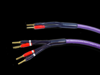 Melodika MDBW41515 - dostawa gratis