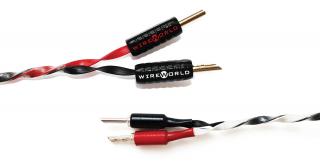 WireWorld Helicon OCC (HCS) 2 x 2.0 m - Raty 20x0% - Dostawa 0zł! - Odsłuchy - Polska gwarancja