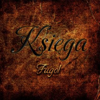 Płyta CD Fugol - Księga Uniwersalny