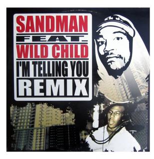 Vinyl Sandman feat. Wild Child - Im Telling You (Remix) Uniwersalny