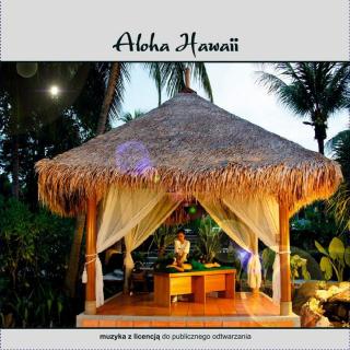 Aloha Hawaii - Paweł Lemiesiewicz (płyta CD)