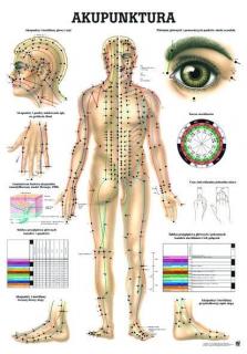 Tablica medyczna - Akupunktura