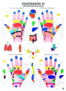 Tablica medyczna - Refleksoterapia dłoni