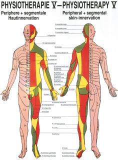 Tablica - Układ nerwowy skóry