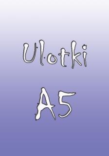 Ulotki A5 1000 szt.