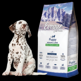 Evoque Puppy Dziczyzna z jagnięciną ML Super Premium 12kg