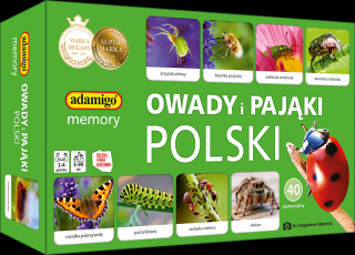 Gra memory Owady i pająki Polski