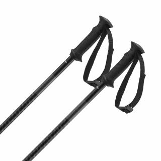 Kijki narciarskie Salomon Polar Access Black 2025