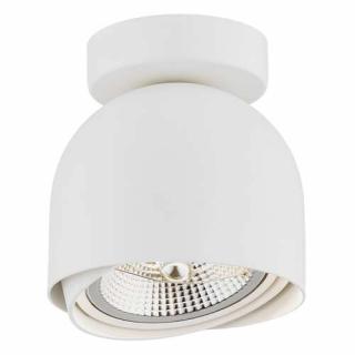 Argon Garland 4710 BZ plafon lampa sufitowa spot 1x15W GU10 AR111 biały