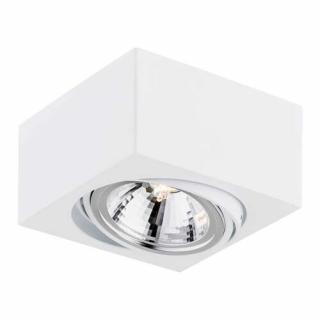 Plafon Argon Rodos 263 ruchomy 1x48W G9 biały