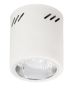 Plafon lampa sufitowa spot Rabalux Donald 1x60W E27 biały 2484