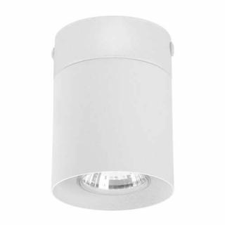 TK Lighting Vico white 3406 plafon lampa sufitowa 1x10W GU10 biały - wysyłka w 24h