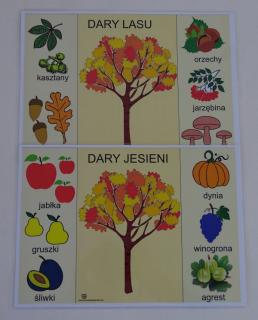 Dary jesieni i lasu - karty edukacyjne