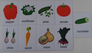 Warzywa karty edukacyjne - wersja w j. angielskim
