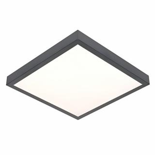 Plafon LED VITALI 24W 2040lm IP44 antracyt barwa neutralna