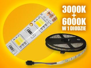 Taśma LED CCT MultiWhite  (3000K + 6000K) 12V 72W 300xSMD IP65 5m