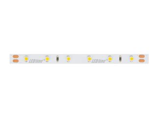 Taśma LED line 300 SMD3528 12V 4000K 4,8W rolka 50m