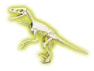 Clementoni Dinozaury Skamieniałości Welociraptor Fluorescencyjny 50639
