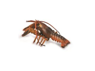 Figurka Lobster Homar COLLECTA 88920