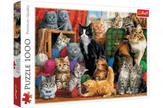 Trefl Puzzle 1000el Kocie Spotkanie 10555