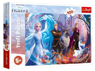 Trefl Puzzle 100el Magia Krainy Lodu Disney Frozen 2 16366