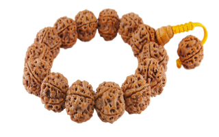 Bransoletka  mala z Rudraksha 18cm.