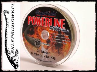 Powerline Pro Wels 1,20mm 170kg 30m - Giga Fish