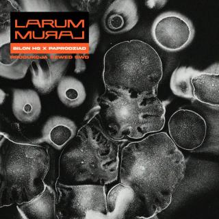 Larum (Bilon HG x Paprodziad x Szwed Swd) - Mural