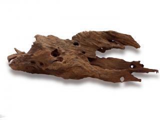 Korzeń Mangrowy 20-30 cm