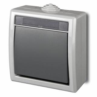 AQUANT IP55 Łącznik schodowy / pojedyńczy hermetyczny natynkowy 10A IP55, szary; 1201-10, ELEKTRO-PLAST NASIELSK  1201-10/EPN