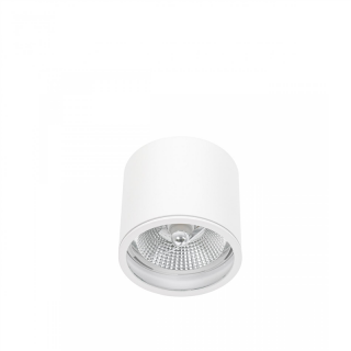 Chloe Ar111 Natynkowa GU10 250V IP65 120x115mm BiaŁy Okrągła Nieruchoma  SLIP005031/WOJ