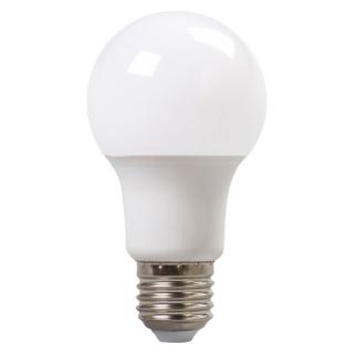 Lampa LED o obniżonym napięciu pracy 6W, E27 (A60), AC/DC 24V, 1CT/10 4500K 700Lm  LED-3021/HLS