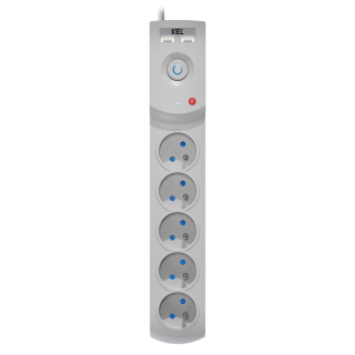 Listwa zasilająca z bezpiecznikiem i układem przeciwprzepięciowym professional, 5 gniazd, 2 porty USB, długość 3m, 10A, 230V, 2300W, szary  W-100041/PLR