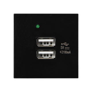 NOEN USB x 2, podwójny port modułowy 45x45mm z ładowarką USB, 2,1A 5V DC, czarny  OR-GM-9010/B/USBX2/ORN